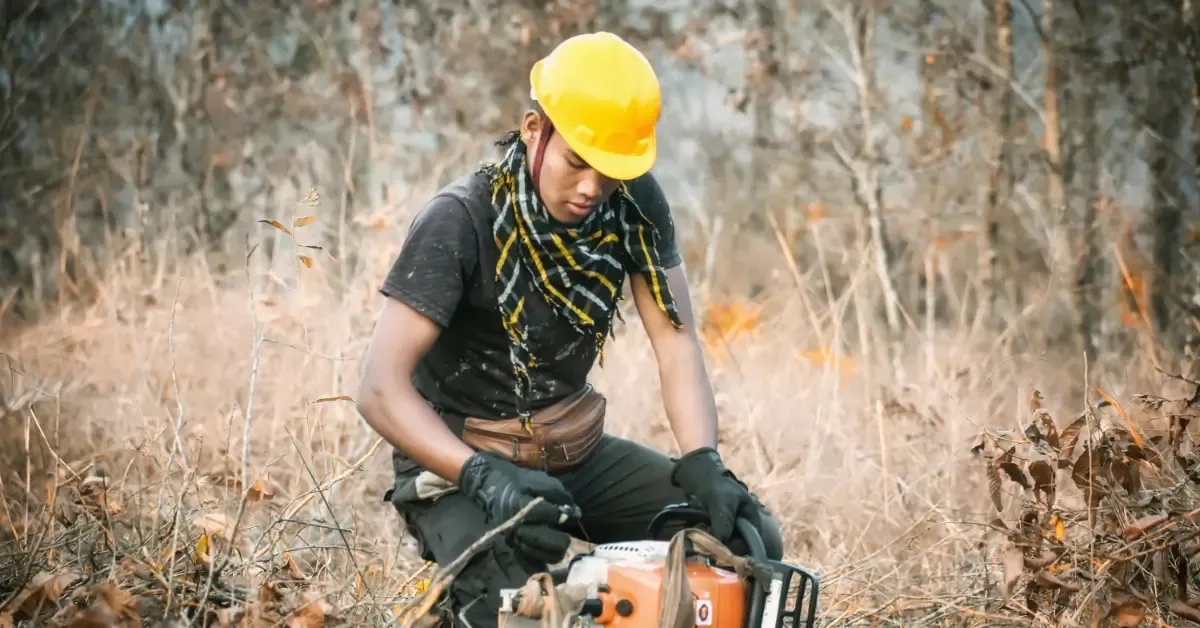 Adams Valley Tree Service: Brush Hogging