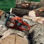 Adams Valley Tree Service: Tree Service Company