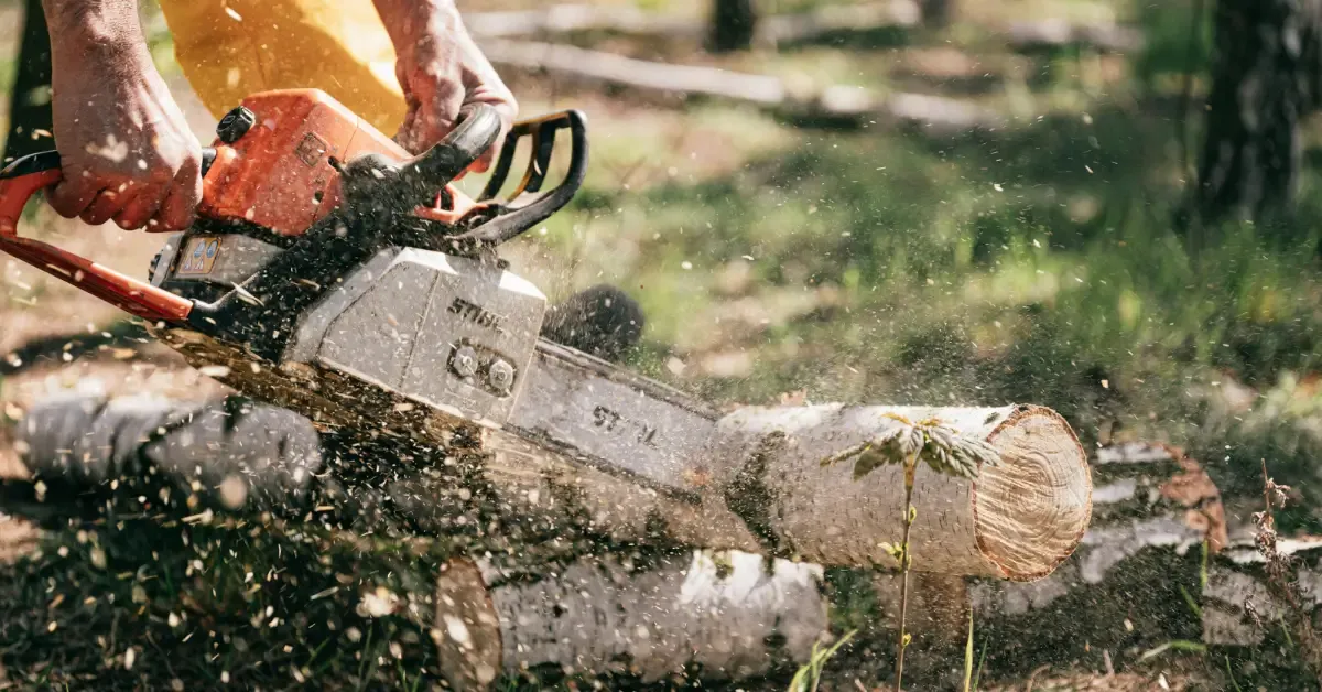 Adams Valley Tree Service: Tree Service Near Me